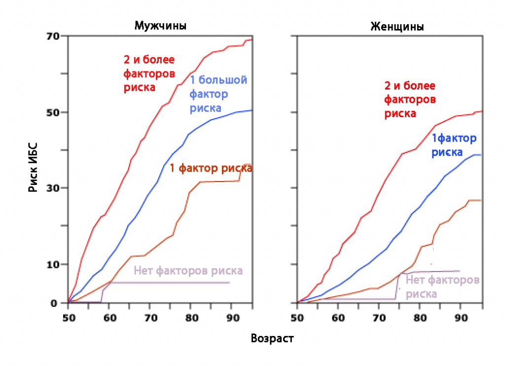 ссз и факторы риска для холестерина